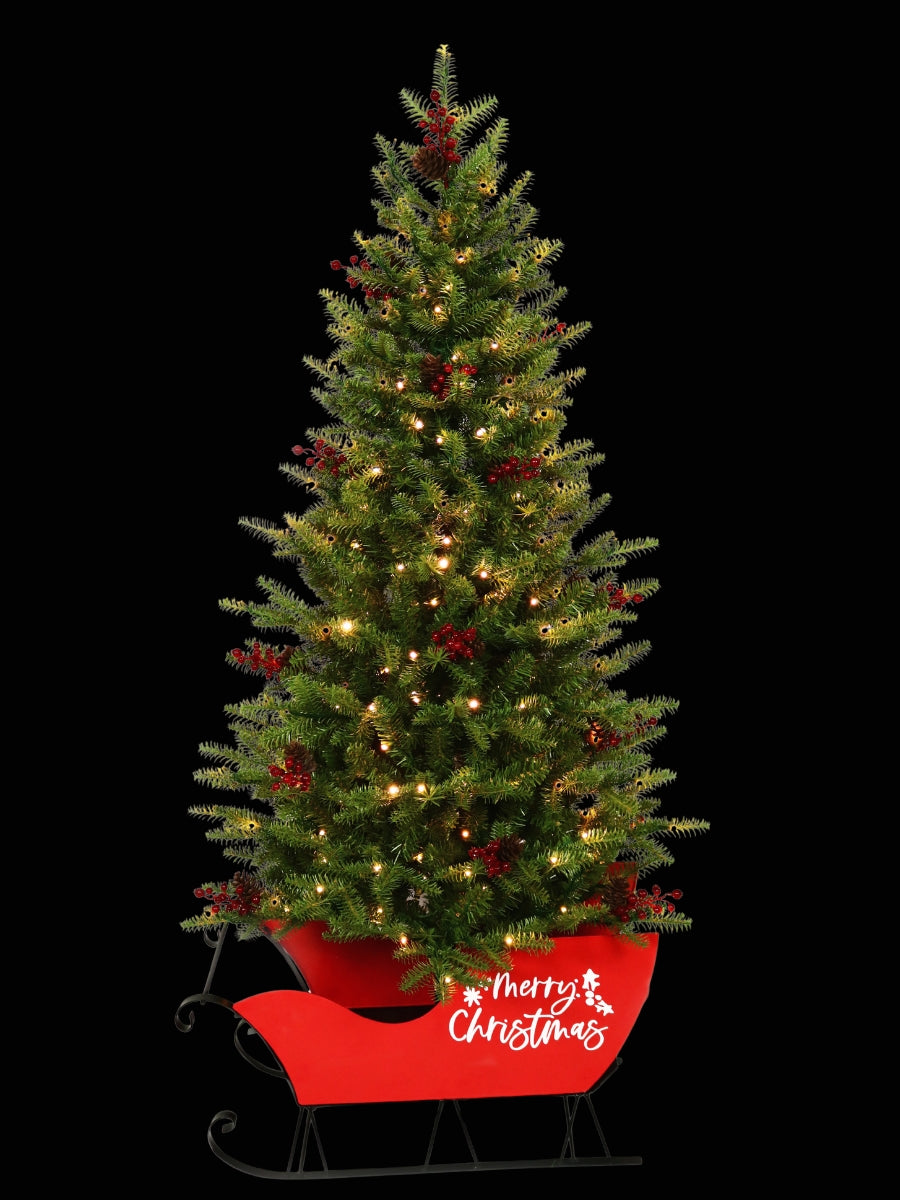 5' Mountain Green Fir in Sleigh